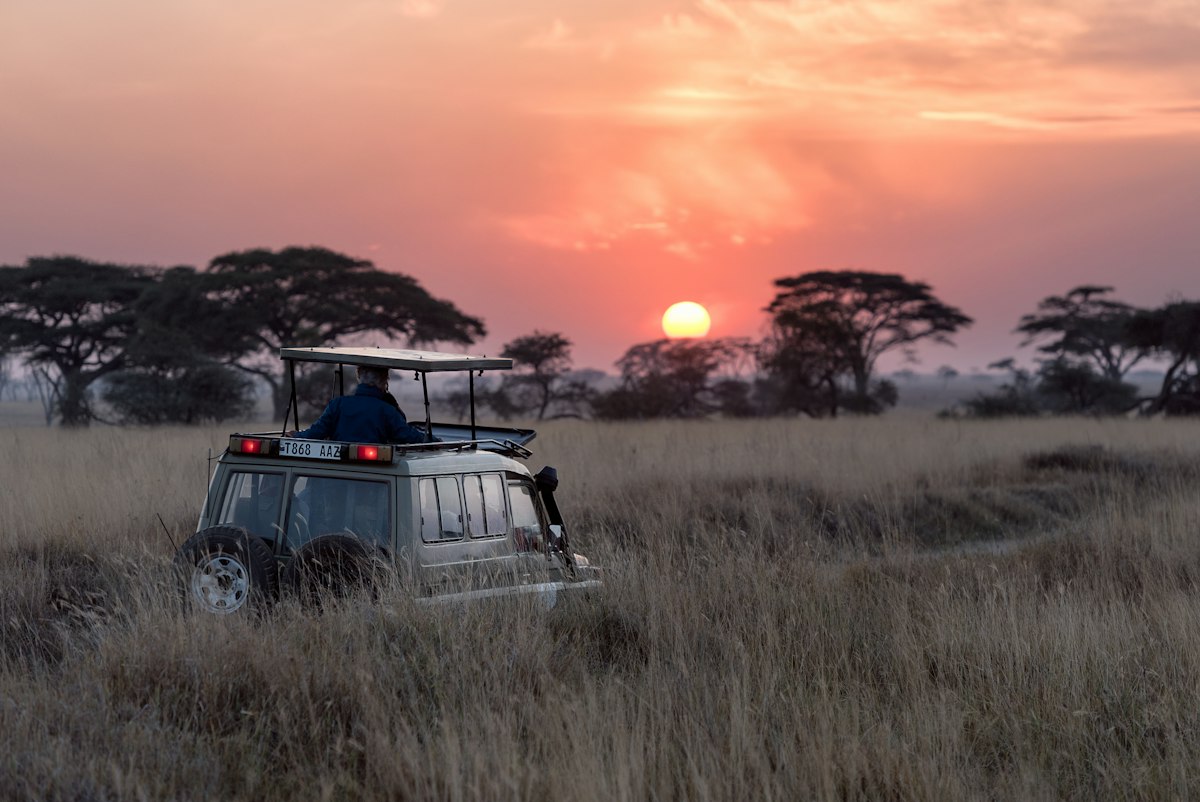 Velvet & Veld Handcrafted Full-Grain Safari Field Leather in the African Bushveld